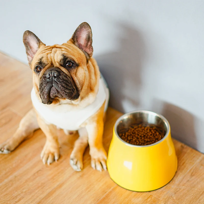 Чаша для домашних животных Hupe миска питьевой воды ведро специальные горшки собак