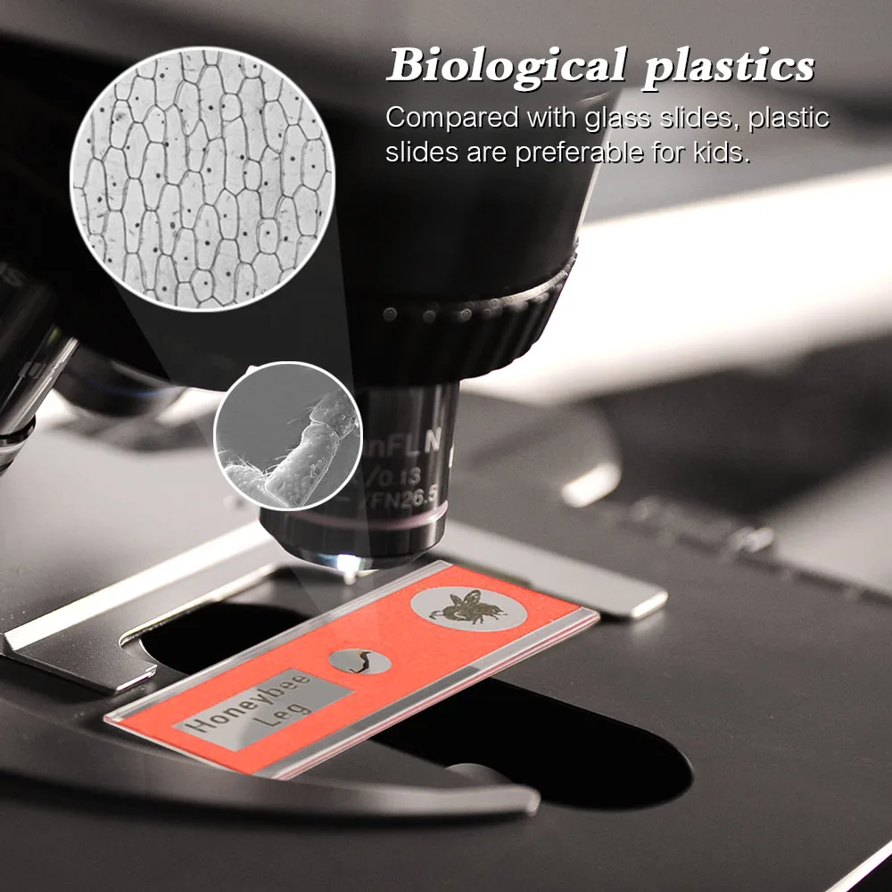 48pcs Plastic Microscope Slides Animals Insects Plants Issue Sample Specimens Set with Color Labels for Kids Students | Инструменты