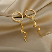 vintage snake shape hoop earrings for women retro stainless steel geometric earrings cute small object earring jewelry bijoux