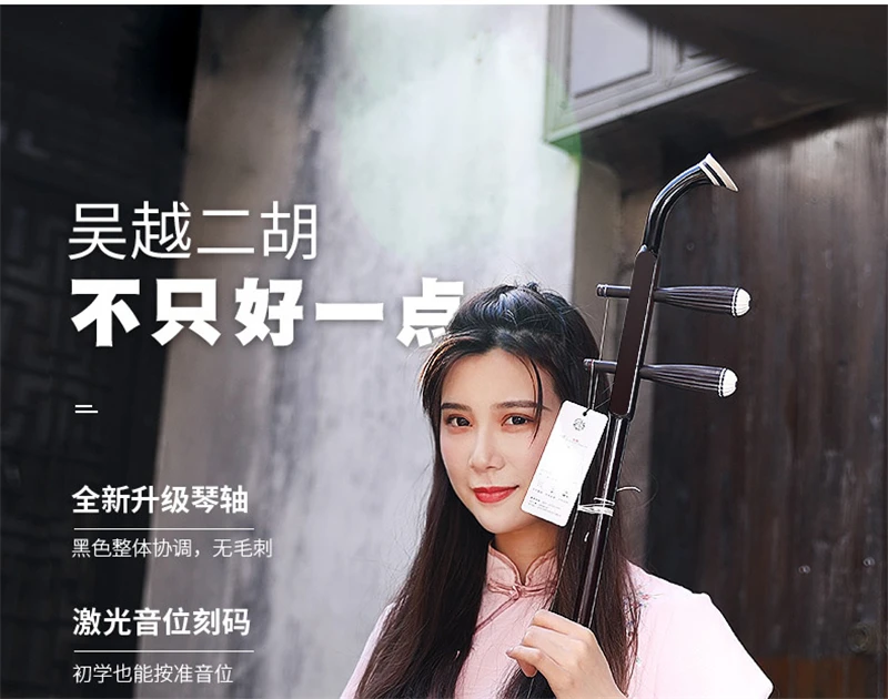 Китайский струнный инструмент Erhu Huqin эксклюзивные гравированные китайские инструменты народные Erhu с канифолью запасные струны лук и книга