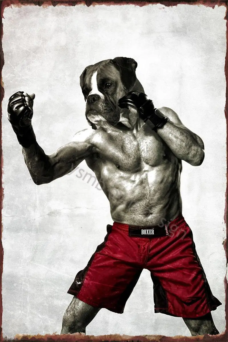 

Боксеры-боксеры! Настенный декор, Ретро винтажный металлический знак, жестяной знак, жестяные пластины для искусства, кафе, паба, дома, клуба...