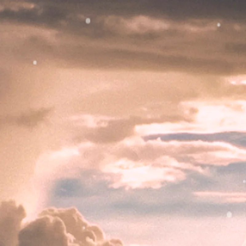 

A Special Link For Buyers Order Nocoupons Please clear