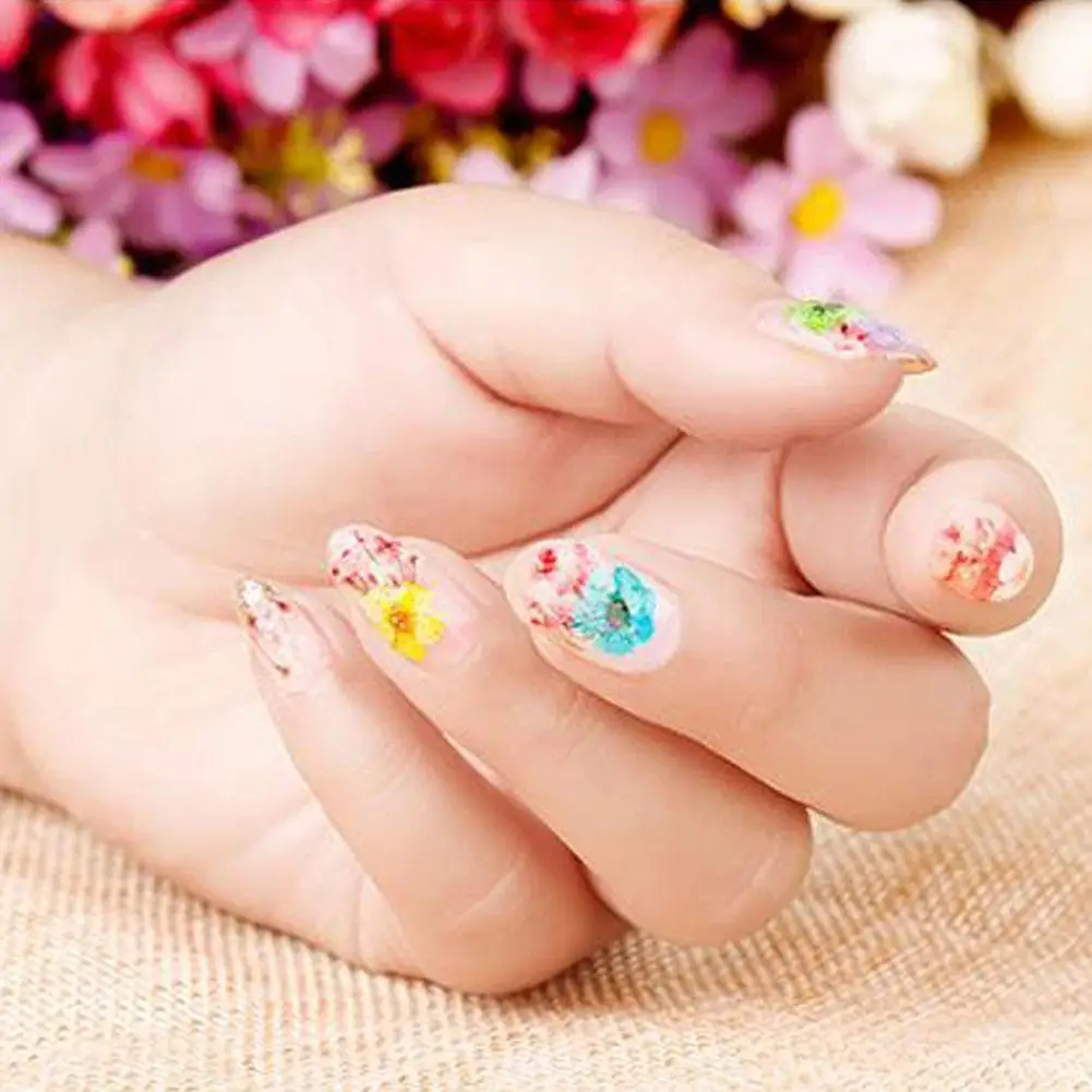 

12/24pcs Mix Dried Flowers Nail Decorations Jewelry Polish Art Leaf Accessories Floral Natural Manicure Stickers Designs Na Z5Z5