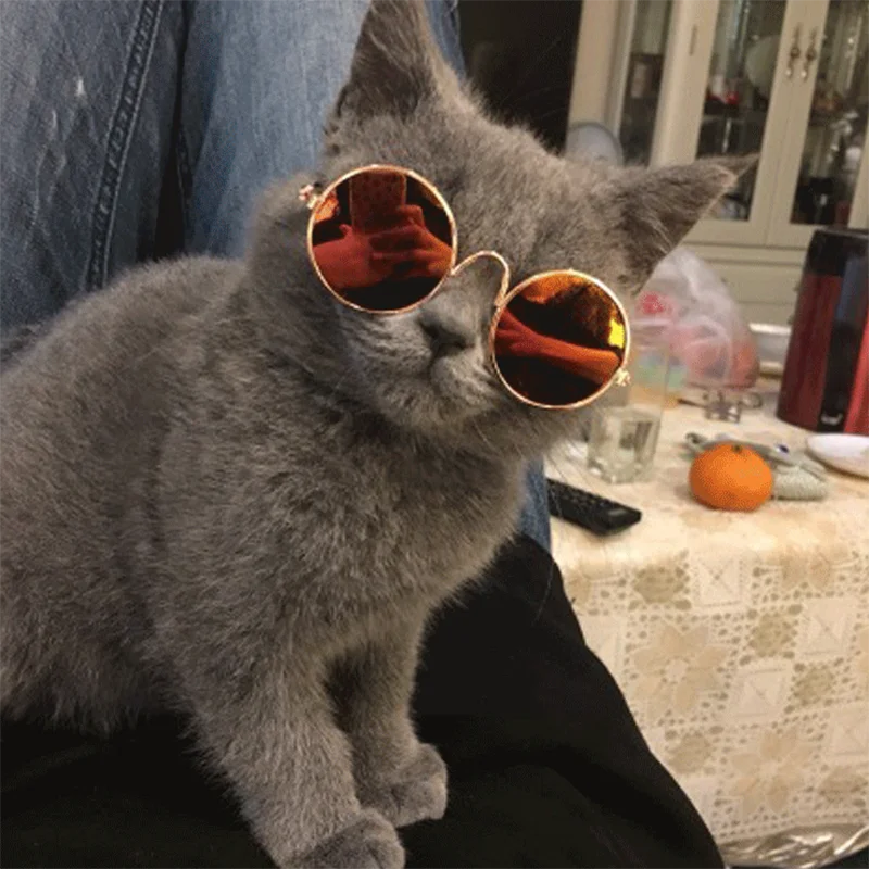 Очки солнцезащитные круглые для домашних животных красивые маленькие