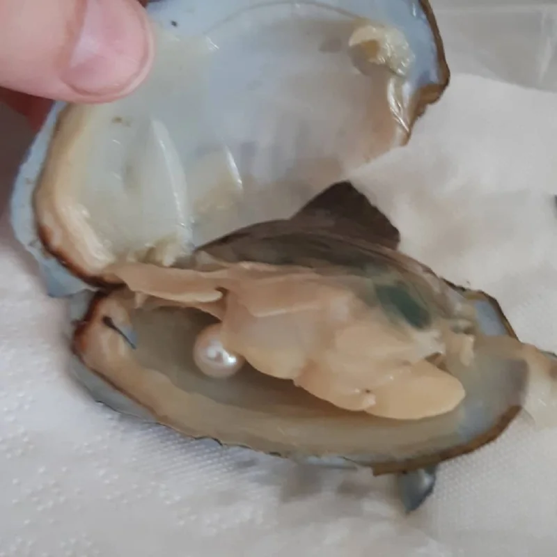 Oysters настоящий жемчуг подарок ожерелье подвеска индивидуальная упаковка