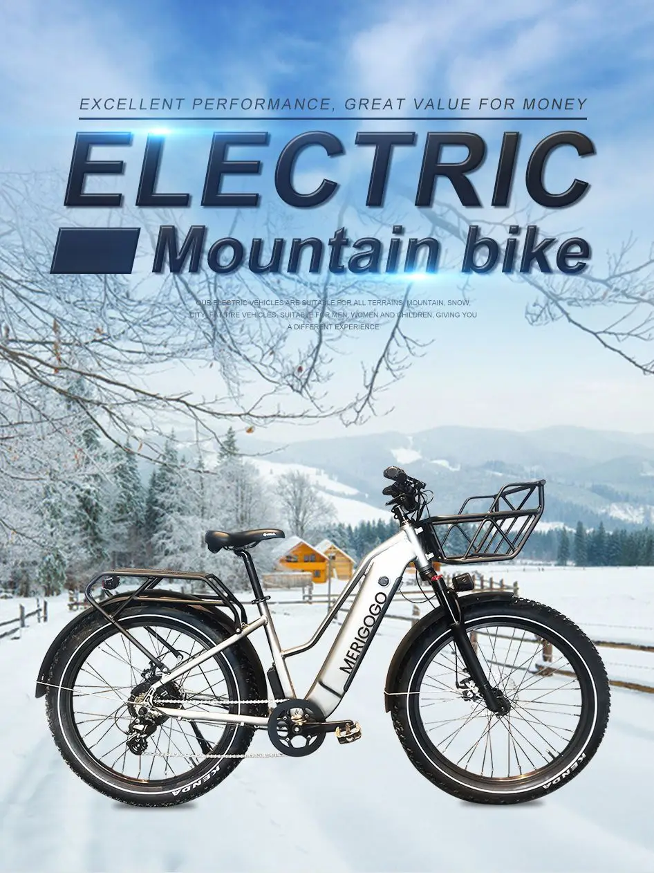 Verkaufen Chinesische Fabrik 1000W Bike Besten Fett Reifen Elektrische Bikes