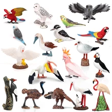 Modelos de simulación de aves, flamencos de Turquía, loro, búho, mar, águila, avestruz, figuras de acción de PVC, juguetes para niños