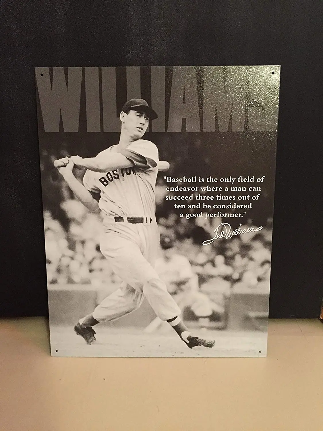 

Diuangfoong Ted Williams Reproduction Metal Sign 12" x 8"