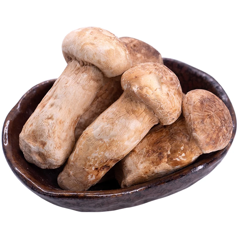 

Tricholoma matsutake freeze-dried whole mushroom 5-7 cm in yunnan specialties