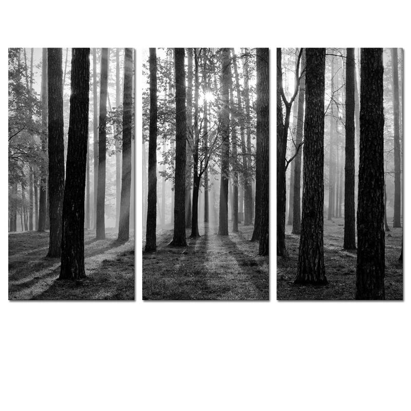 Современное настенное искусство солнечный свет в лесу фотообои черно белое