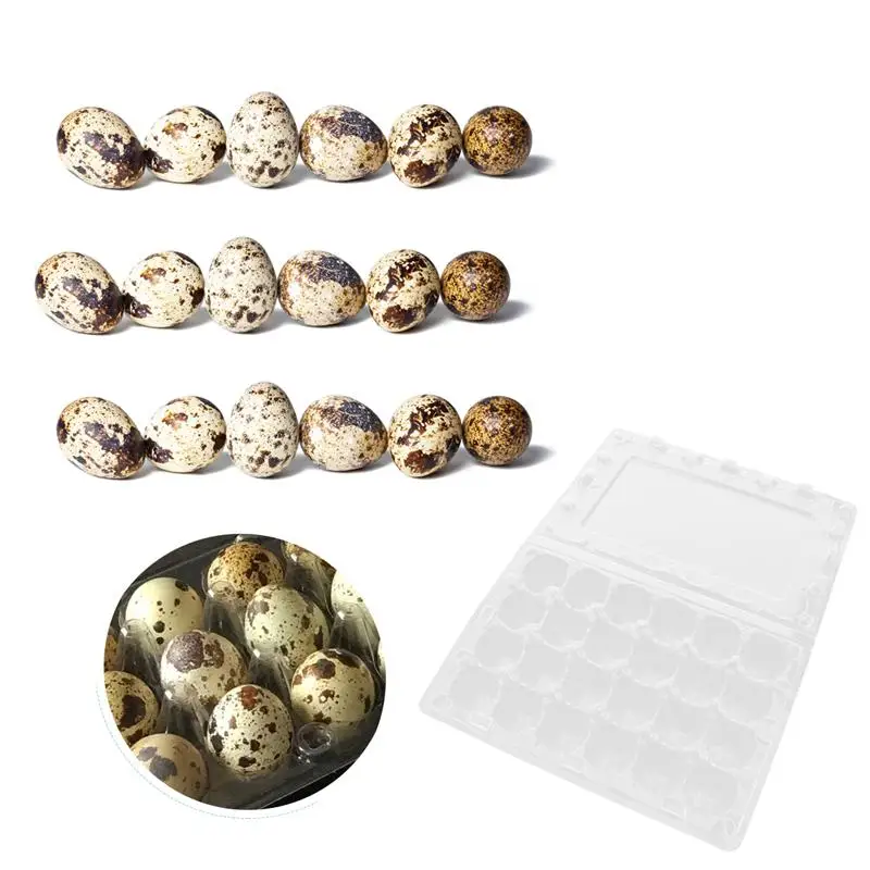 

12 Pcs 24 Grids Egg Flat Quail Egg Storage Box Egg Carrier Packaging Box