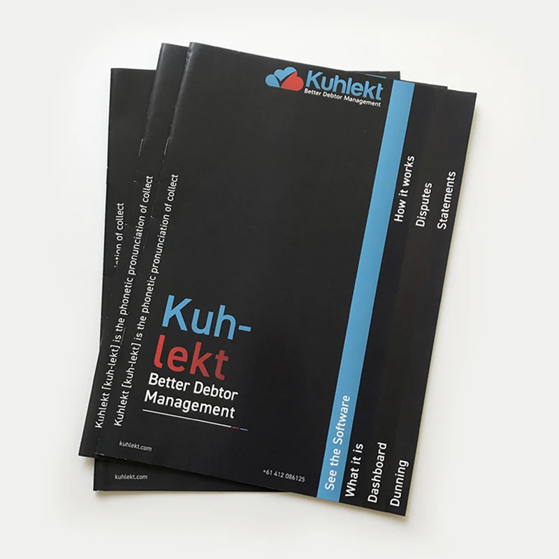 Сделанная на заказ Печать рекламная брошюра листовка буклеты книга