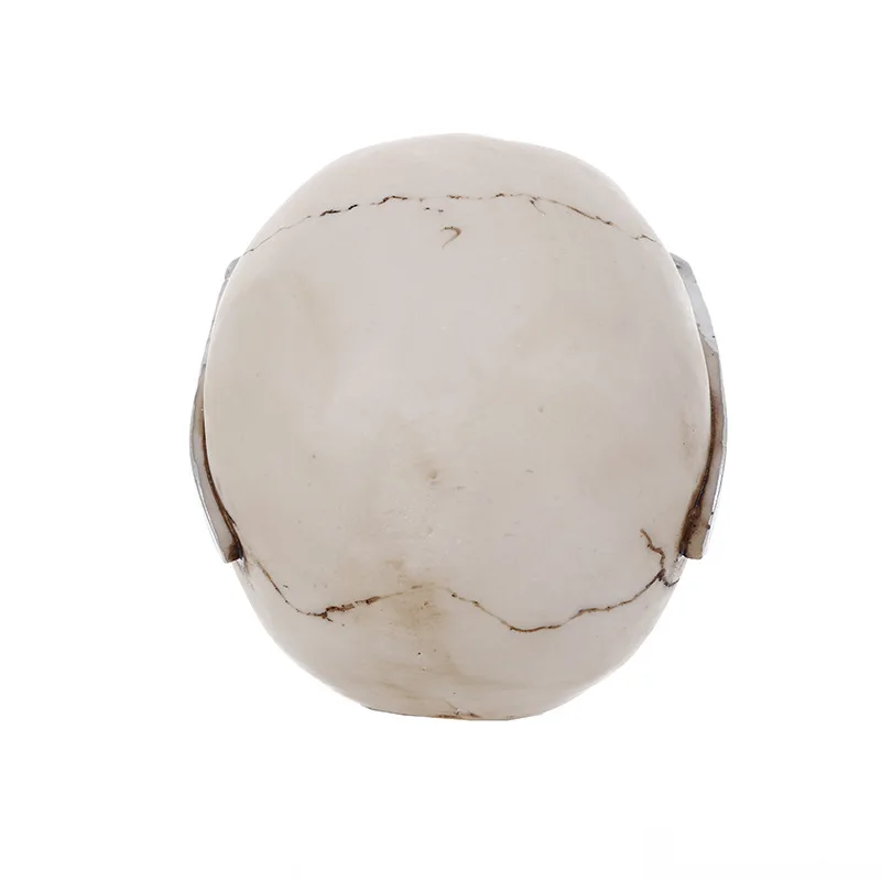 VILEAD 11 см смолы ремесло весело череп носить солнцезащитные очки украшения дома