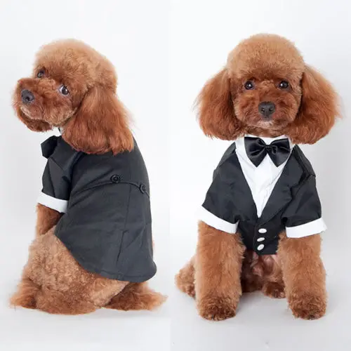 2020 Newest Hot Small Pet Dog Cat Clothing Prince Wedding Suit Tuxedo Bow Tie Puppy Clothes Coat Spring Autumn Costume Apperal