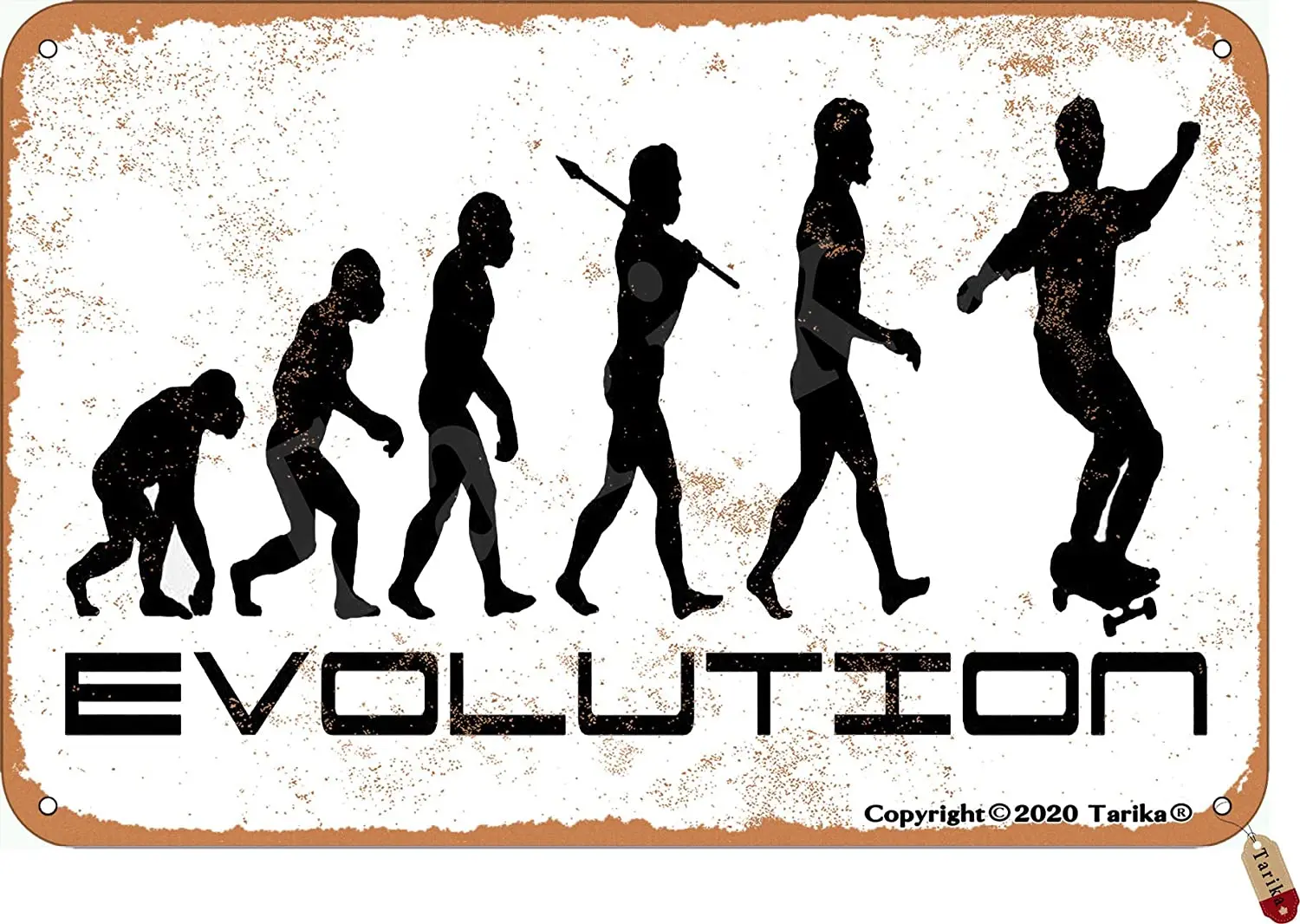 

Tarika Skate Evolution 20X30 cm Vintage Look Iron Decoration Plaque Sign for Home Inspirational Quotes Wall Decor
