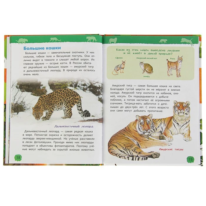 Энциклопедия для детского сада Животные России 2830904 |