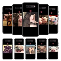cute little pink pet pig for lg g8 v30 v35 v40 v50 v60 q60 k40s k50s k41s k51s k61 k71 k22 thinq 5g phone case