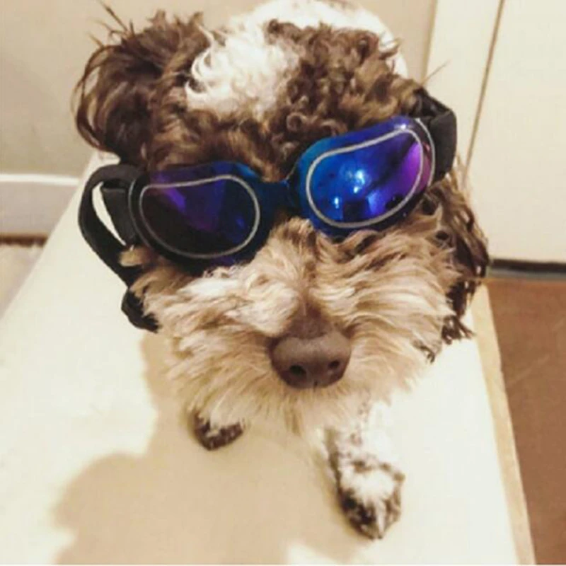 

Pet Products Lovely Vintage Round Cat Sunglasses Reflection Eyewear Glasses For Small Dog Cat Pet New