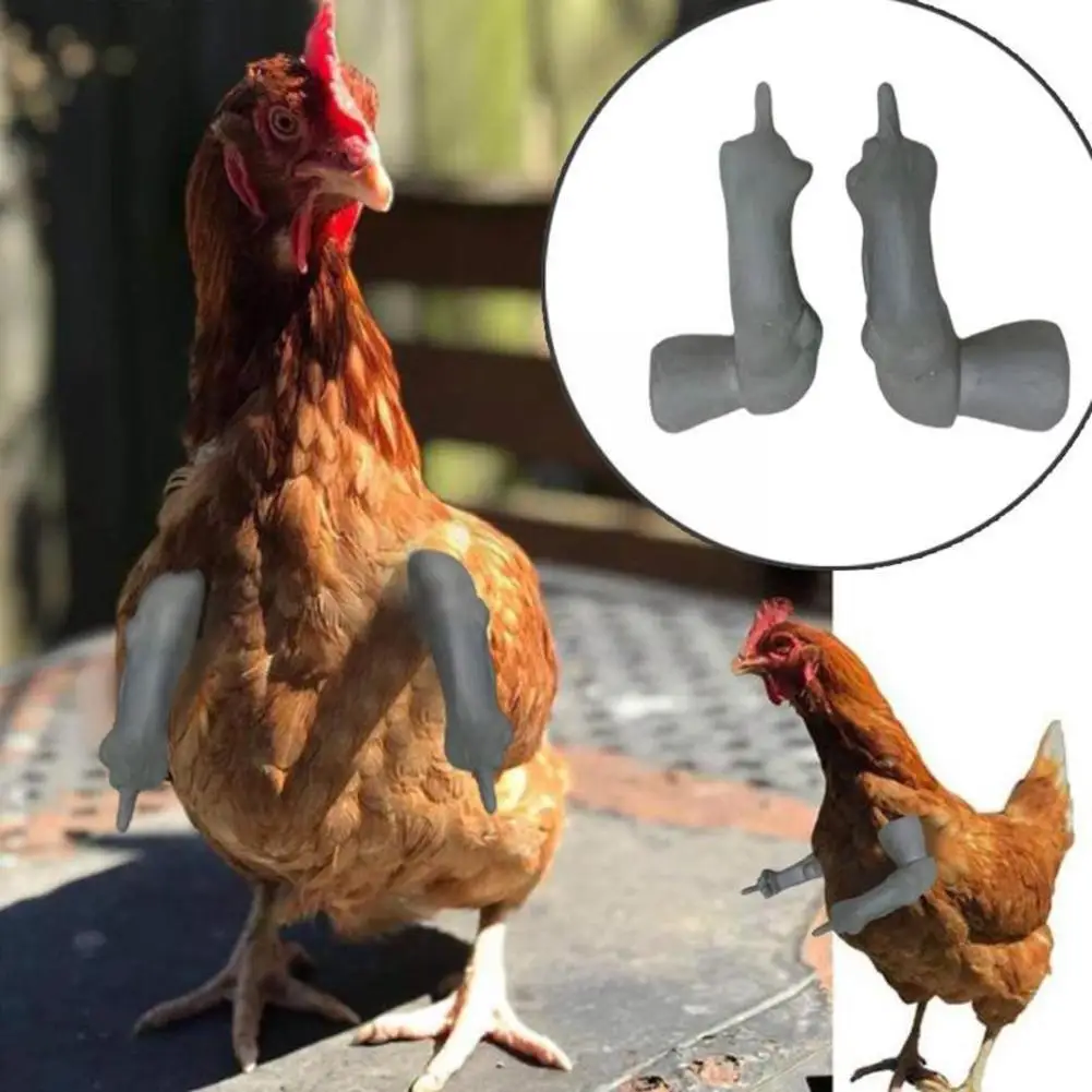 

Chicken Forelimb Decoration Chicken Arm Toy Chicken Arm Mold Decoration Spoof For Pet Themed Party Farm Animal Supplies Y3c6