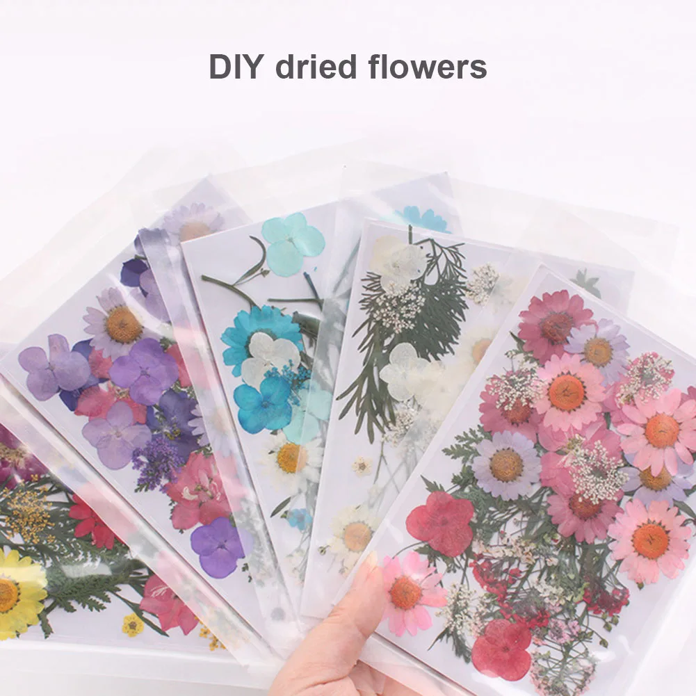 

Горячий прессованный цветок смешанные органические сушеные цветы DIY Искусство Цветочные Декорации коллекция подарок NDS