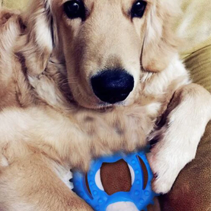 Creative Pet Dog Toy Shape Toys Molar Puppy Bite Resistance Durable Teeth Cleaning Massage Supplies | Дом и сад