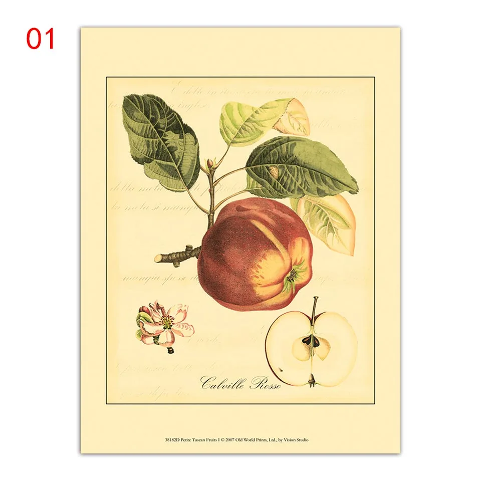 Фруктовые растения дерево Тыква Лимон Апельсин груша Искусство гостиная