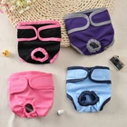 Физиологические штаны для домашних животных для женщин, подгузники для маленьких собак и щенков, моющиеся прочные подгузники для собак, нижнее белье, Короткие подгузники, нижнее белье для домашних животных