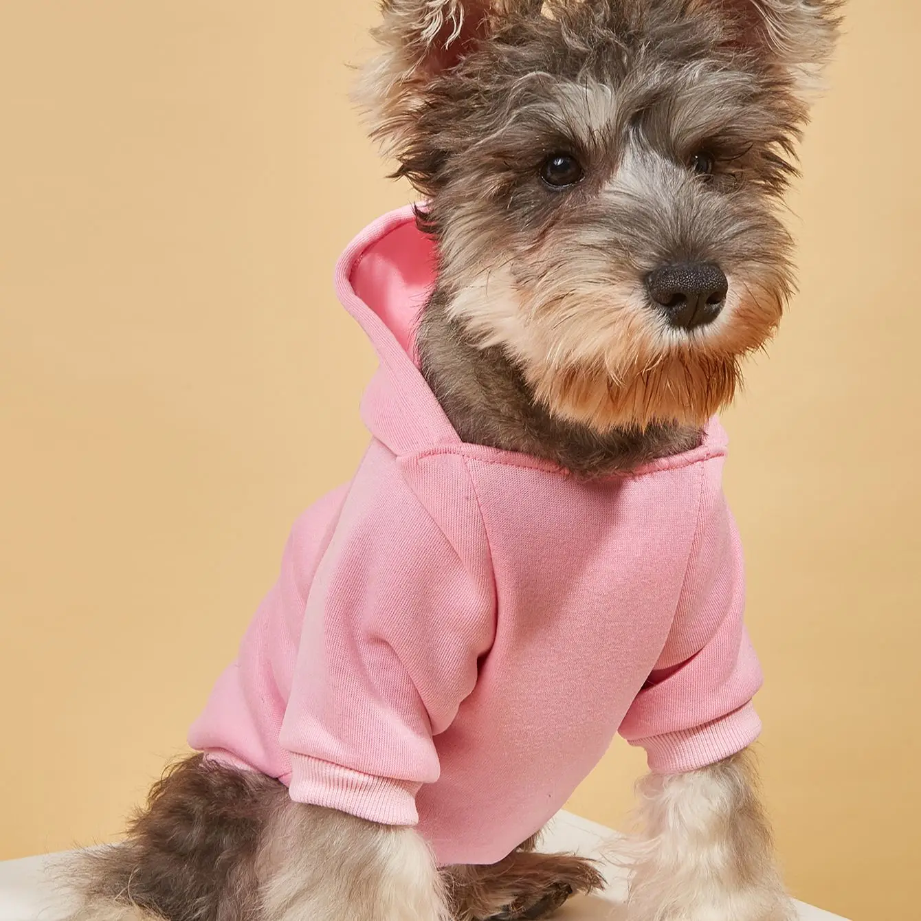 

Hooded pet sweater, Japanese dog vest, autumn and winter cute cat clothes