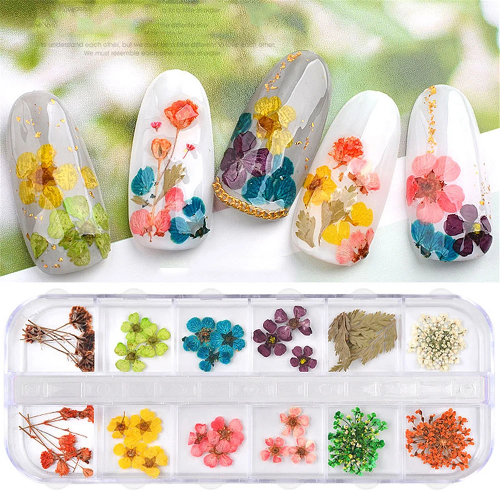 Натуральный высушенный цветок лепесток 3D украшение для ногтей на колесиках