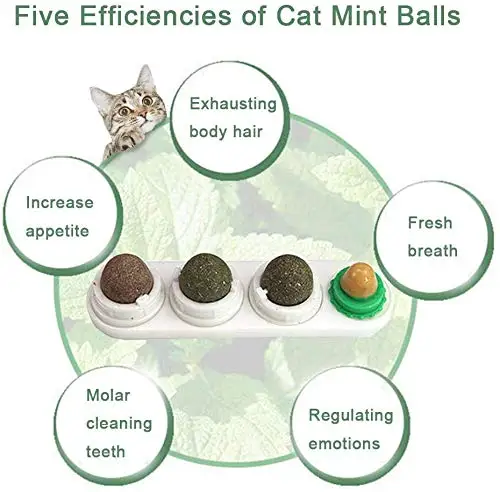 Pet Cat Натуральная кошачья мята для лакомства украшения дома на стене игрушки