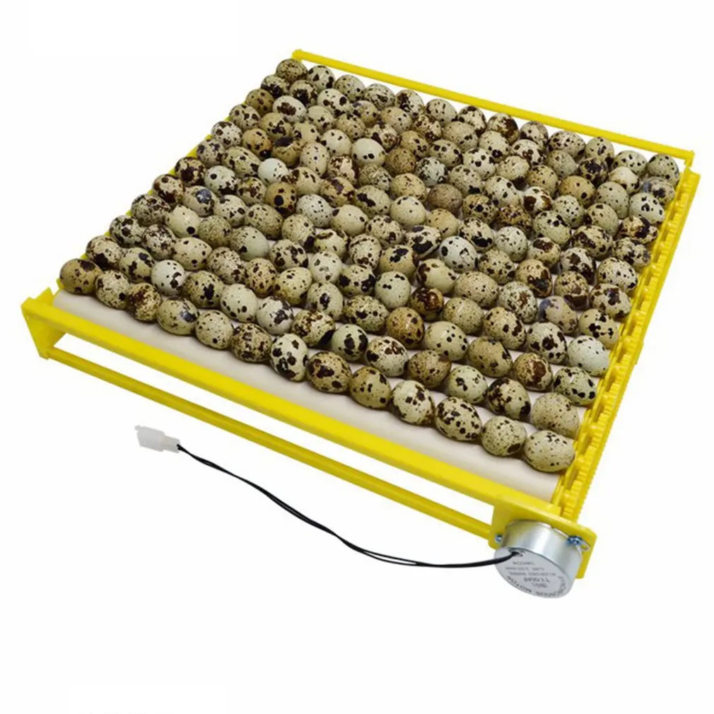 

Plastic Eggs Incubator Accessories Durable Rotary Automatic Roller Pattern Egg Turner Tray Household Egg Tray