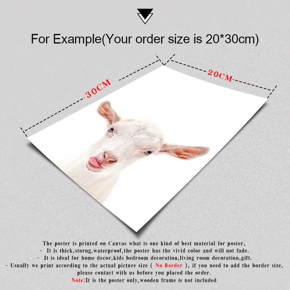 

Giraffe Safari Wall Art Canvas Poster Print Zoo Decor Fun Cute Animal Racoon Sheep Photography Painting Picture Nursery Decor