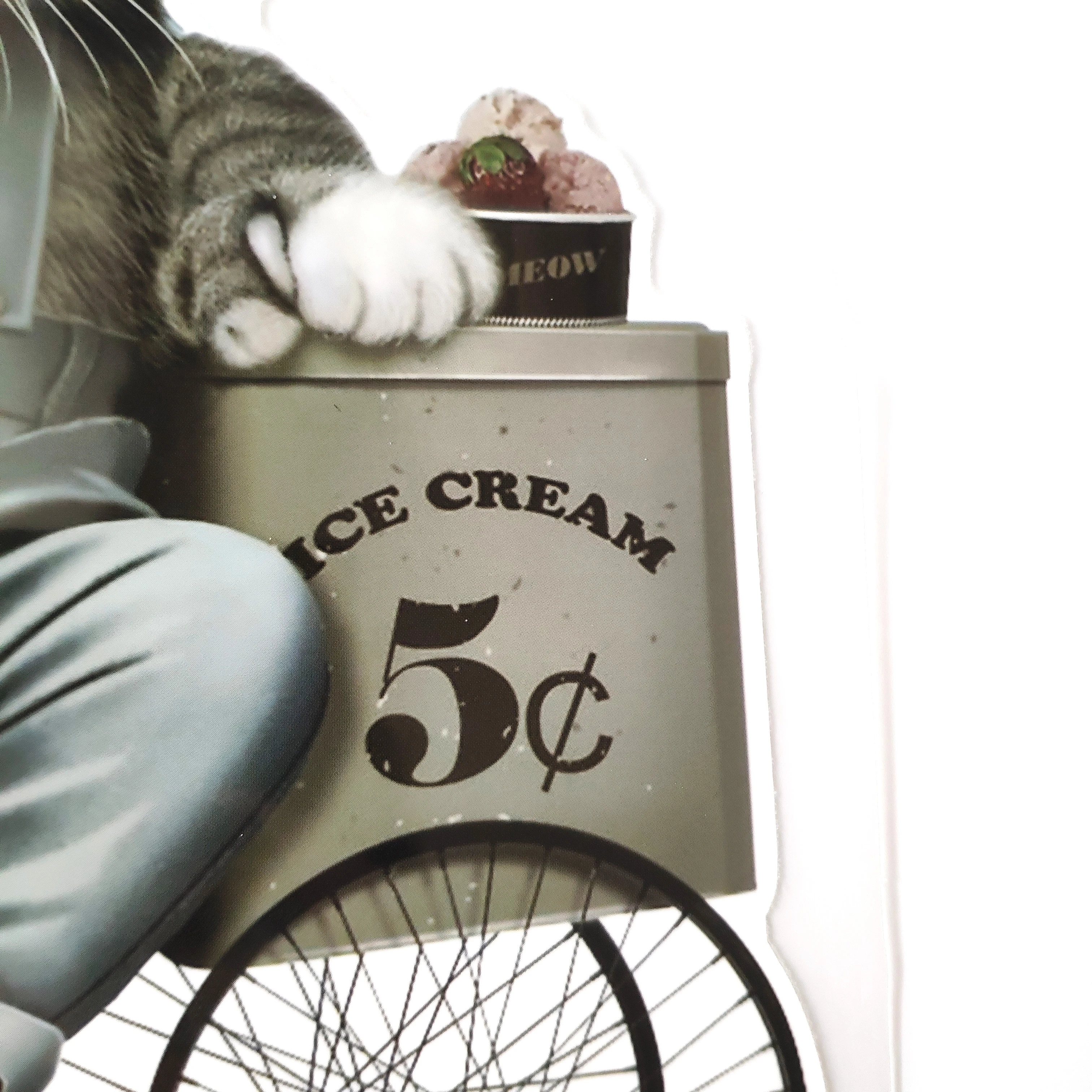 Модные нашивки для одежды забавные наклейки с изображением кота помощью утюга