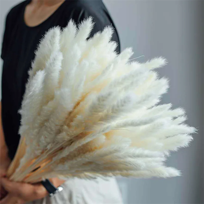 

30Pcs Dried Bulrush Flowers Bouquet Home Wedding Decoration Table Flores Preservadas Pampas Grass Natural Reed Decor for Room