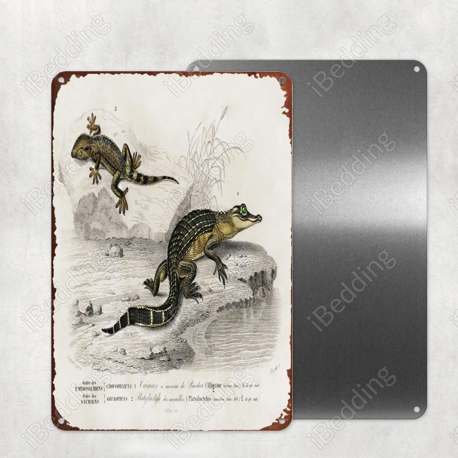 

Аллигатор, искусственная кожа аллигатора, металлическая фотография, Настенный декор для бара, паба, клуба, железная живопись, декоративная ...