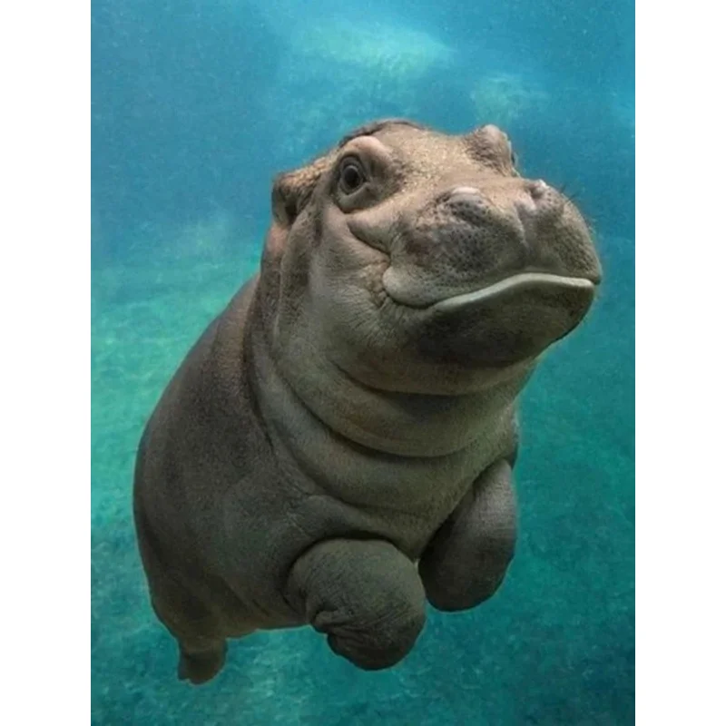 

5DDIY Diamond Painting Land Animals Sea Swimming Diamond Painting Cross Stitch Home Decoration