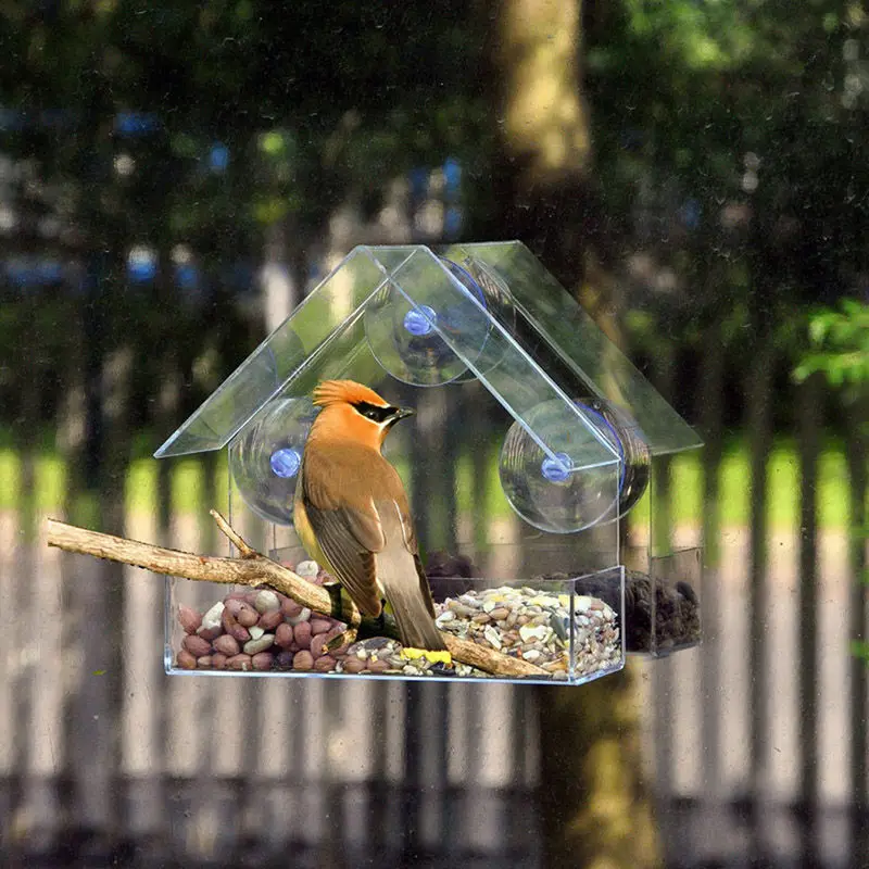

New Clear Glass Window Viewing Bird Feeder Peanut Hanging Suction Adsorption House Type Bird Feeder