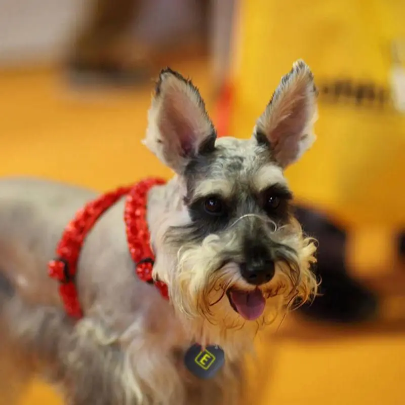 Wireless Electronic Key Finder Reminder With 5 Keychain Receivers For Lost Keys Locator Whistle Security Accessories | Безопасность и