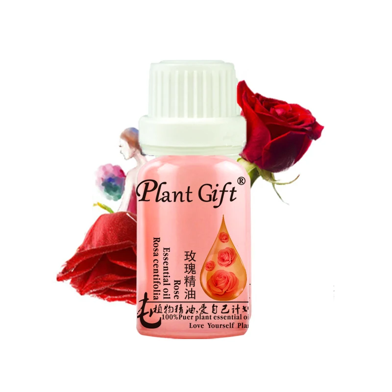 

Plant Gift New The Lavender Rose Tea Tree Essential Oils Compound Plant Hydrating Oil
