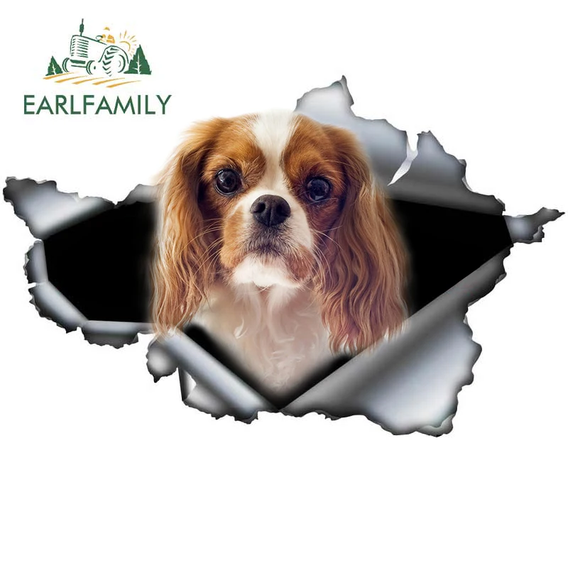 Наклейка для автомобиля "Cavalier King Charles" из винилового материала 3D-дизайна размером 13см x 8,4см с рваным эффектом для багажника или бампера в оригинальном дизайне EARLFAMILY.