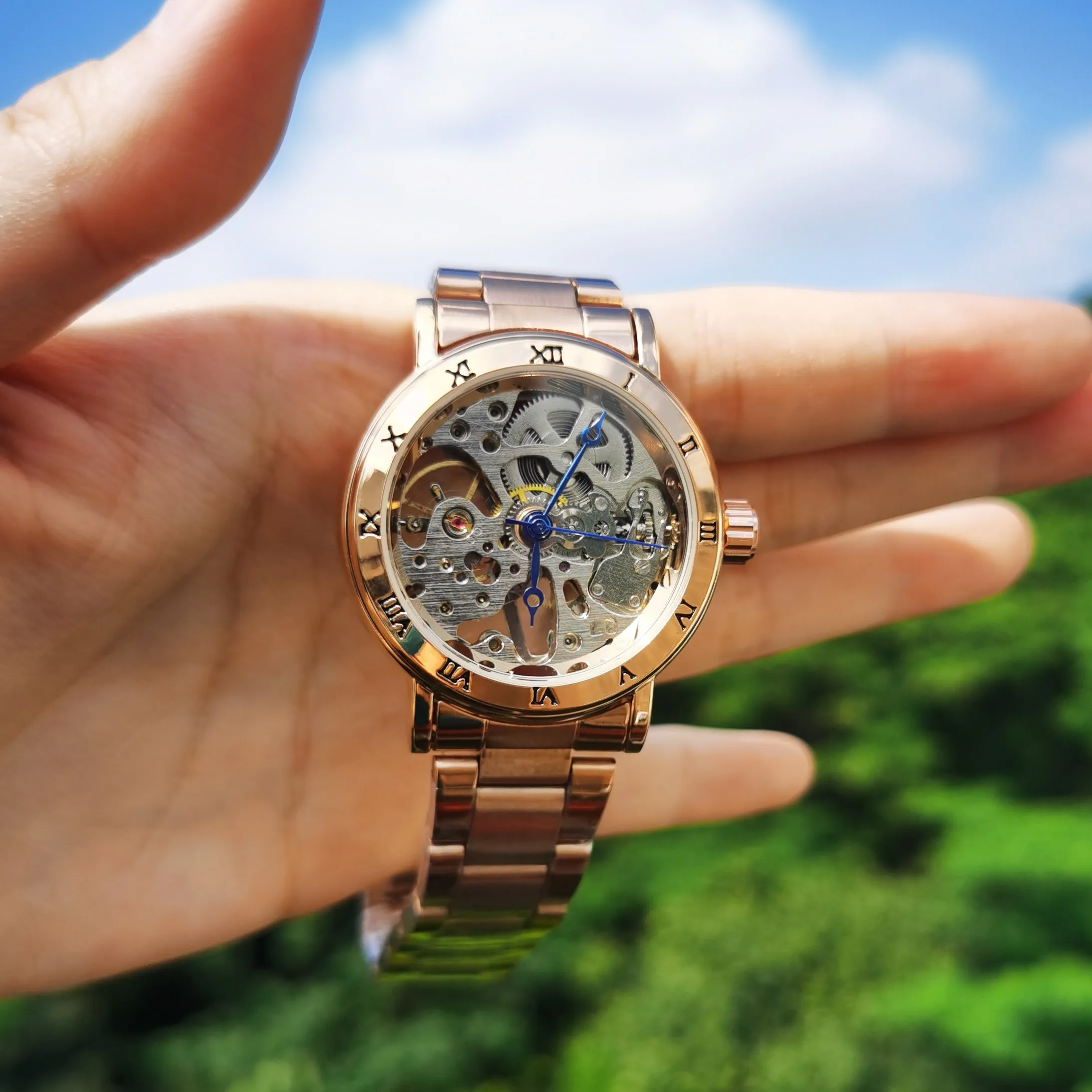 Механические скелет для женщин часы класса люкс римские цифры маленький чехол