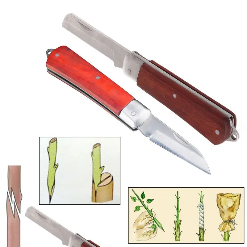 

Professional Folding Pruning Seedlings Grafting Scissors Knife Picking Wood Steel Branch Pruner Trimmer Tools D08F
