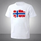 Модная одежда в европейском стиле Чашка Норвегии Национальный флаг дизайн футболки для мужчин футболка с короткими рукавами и футболки ностальгические Восхитительная футболка для мужчин s-x5xl