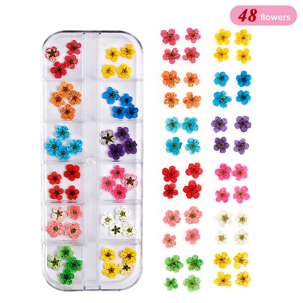 

Real Nail Lace Dried Flowers Leaf Nail Art Decoration DIY Tips Small Flowers Nails Stickers For Manicure Tools
