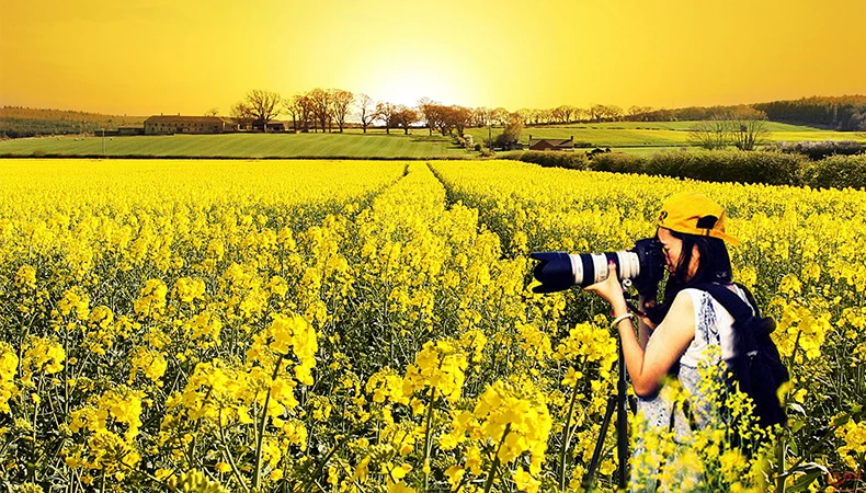Легкий алюминиевый сплав монопод для Canon Nikon samsung Phone M3 ZOMEI портативный профессиональный дорожный штатив