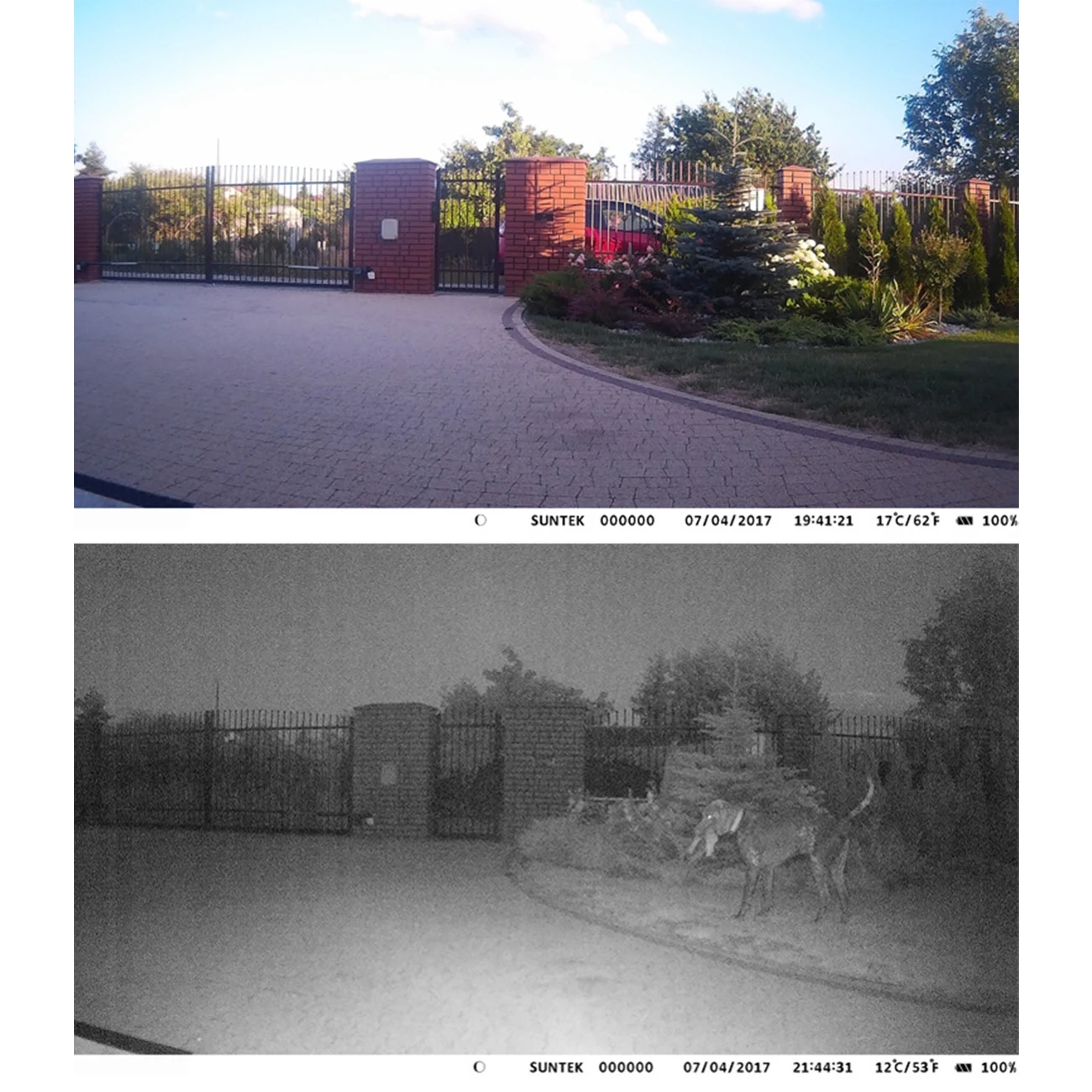 

Live Show Tracking Camera with Remote APP Control, 2 inch LCD 1080P 20MP Wifi Night Vision HD Waterproof Wifi810 Camera for Wild