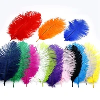 10pcslot 15 20cm 6 8 cheap ostrich feathers for crafts jewelry making wedding party decor accessories wedding decoration plume