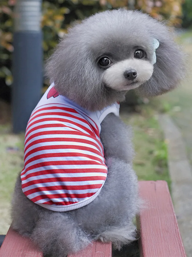 Одежда для маленьких собак летняя мультяшная жилетка одежда матрос галстук
