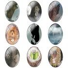 Новогоднее овальное ожерелье TAFREE 18x25 мм с рисунком ежика, фотостекло, кабошон с плоским основанием, фурнитура для изготовления ювелирных изделий HF42