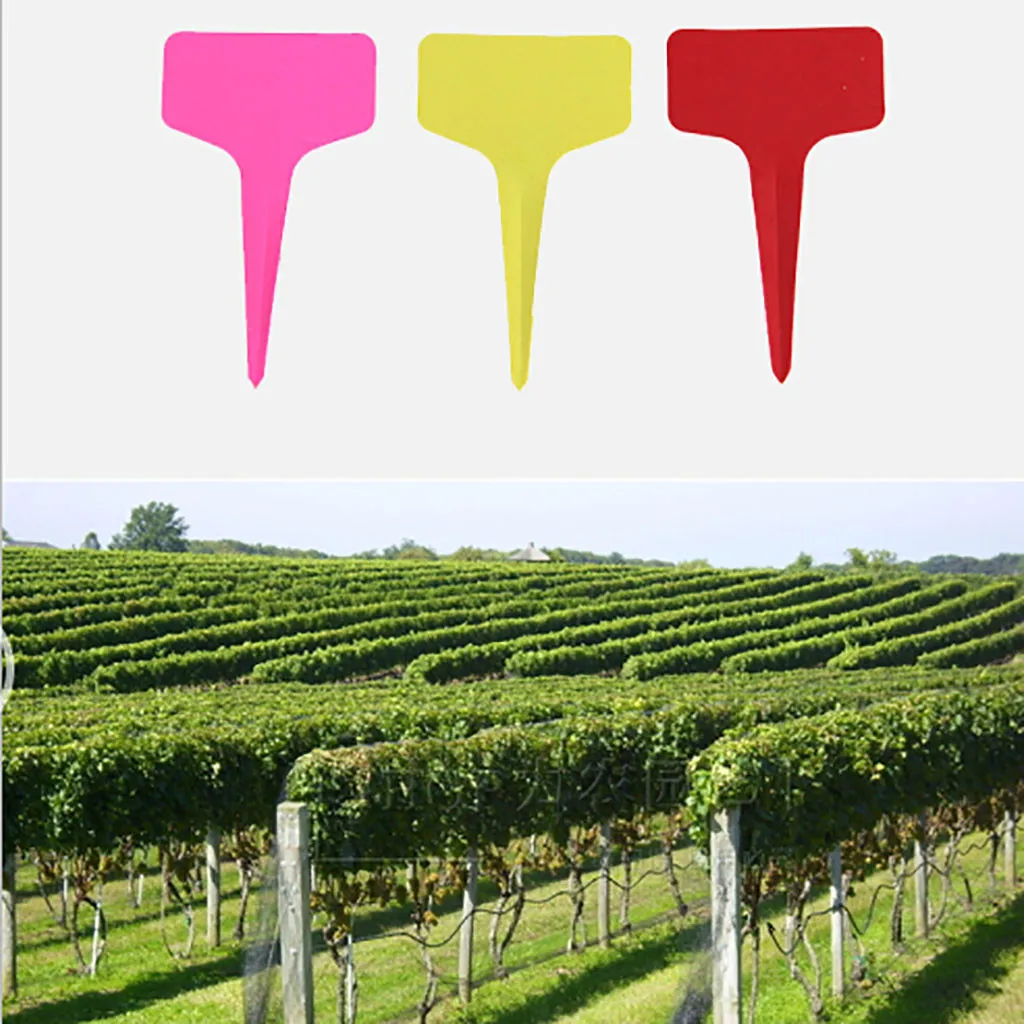 Самая дешевая цена 100 шт. наклейки для садоводства водонепроницаемые пластиковые